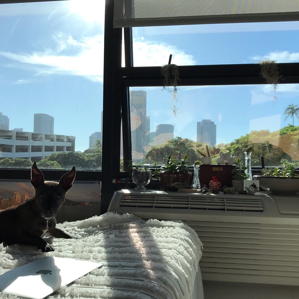 Aloha & mahalo from our home in Honolulu! 🌸🌴🤙🏼